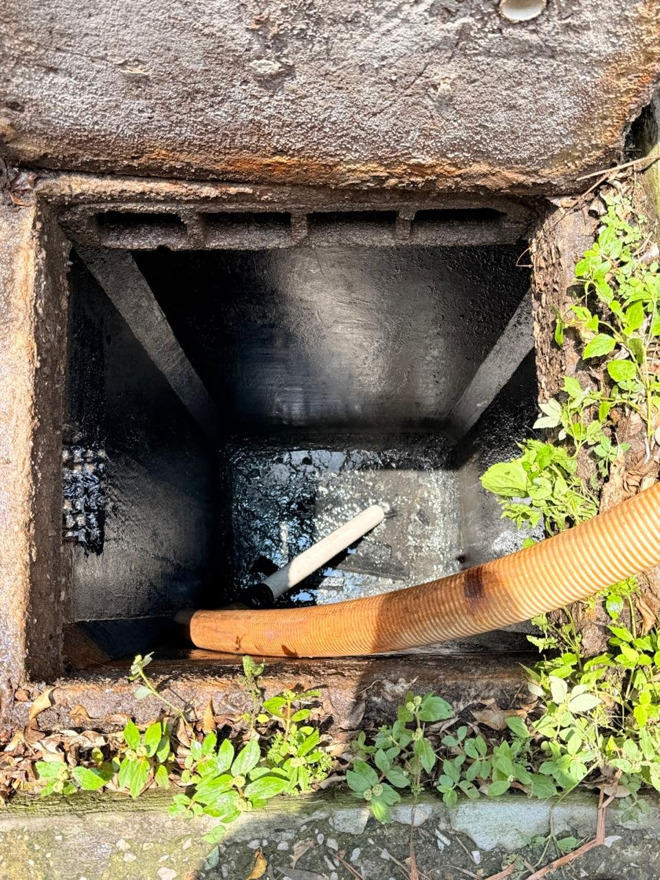 Limpieza de fosas sépticas en Cuernavaca